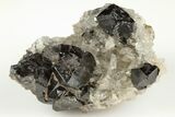 Lustrous Cassiterite Crystals With Quartz - Viloco Mine, Bolivia #192166-1